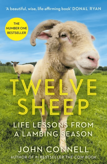 Twelve Sheep av John Connell