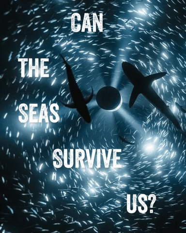 Can the Seas Survive Us? av Tania Moore, John Kenneth Paranada