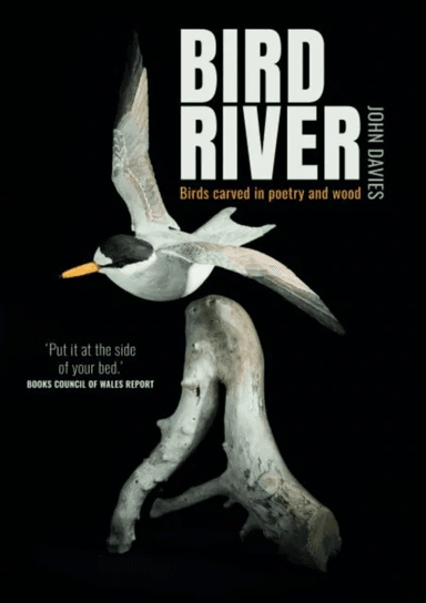 Bird River av John Davies