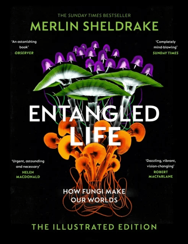 Entangled Life (The Illustrated Edition) av Merlin Sheldrake
