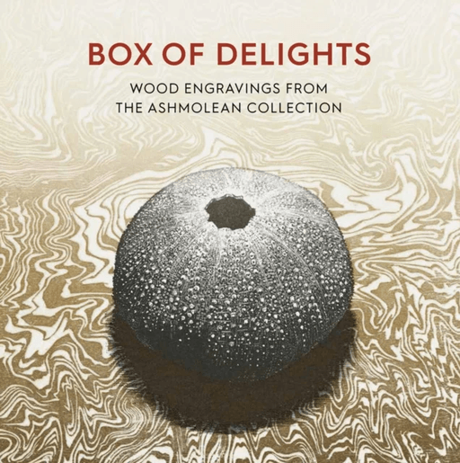 Box of Delights av Anne Desmet