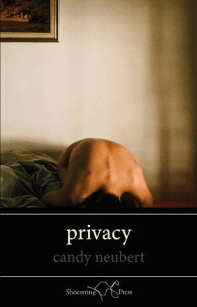 Privacy av Candy Neubert