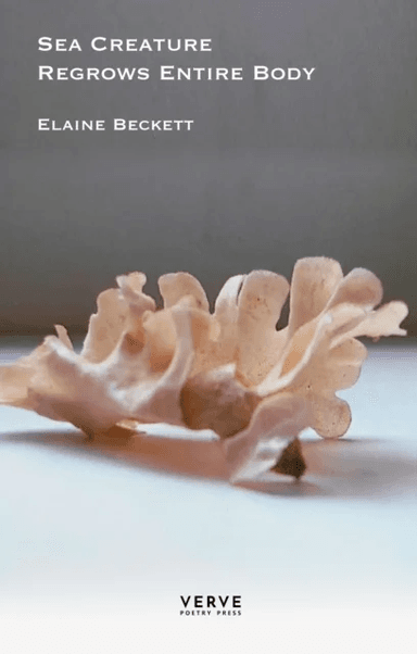 Sea Creature Regrows Entire Body av Elaine Beckett
