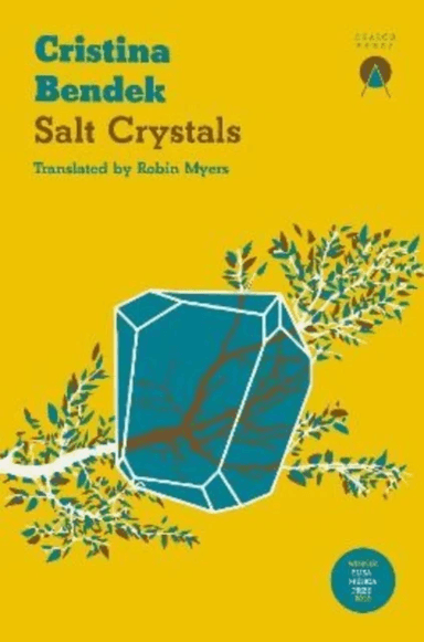 Salt Crystals av Cristina Bendek