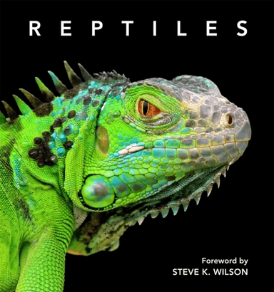Reptiles av Steve Wilson