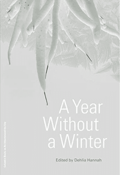 A Year Without a Winter av Dehlia Hannah