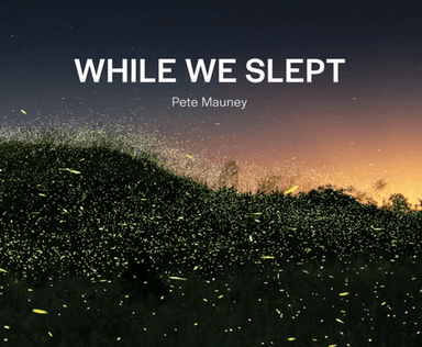 While We Slept av Pete Mauney