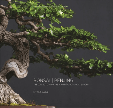 Bonsai / Penjing av Danielle Ouellet
