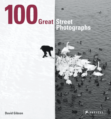 100 Great Street Photographs av David Gibson