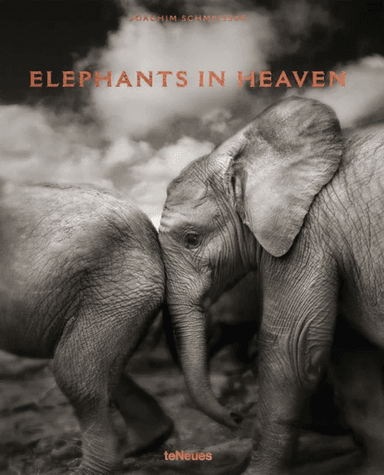 Elephants in Heaven av Joachim Schmeisser