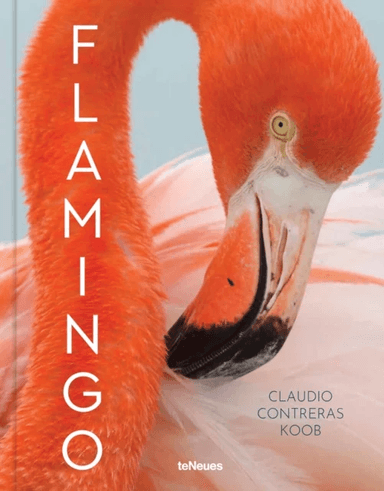 Flamingo av Claudio Contreras Koob