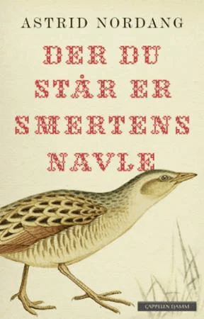 Der du står er smertens navle av Astrid Nordang