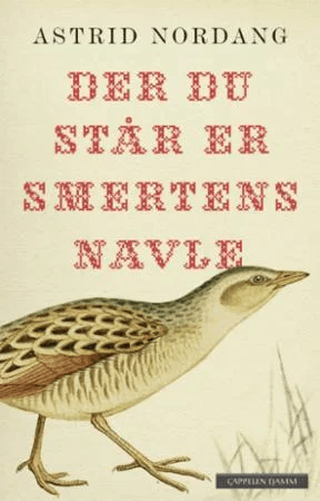 Der du står er smertens navle av Astrid Nordang