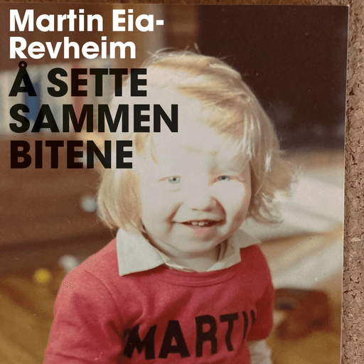 Å sette sammen bitene av Martin Revheim