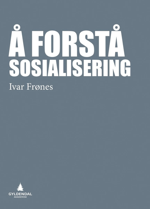 Å forstå sosialisering av Ivar Frønes