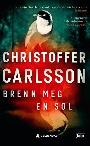 Brenn meg en sol av Christoffer Carlsson