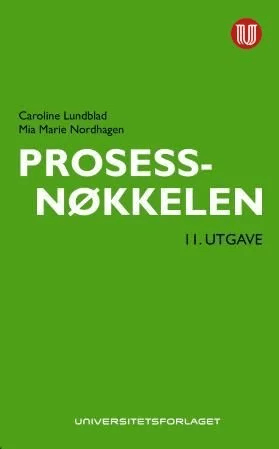 Prosessnøkkelen av Caroline Lundblad, Mia Marie Nordhagen
