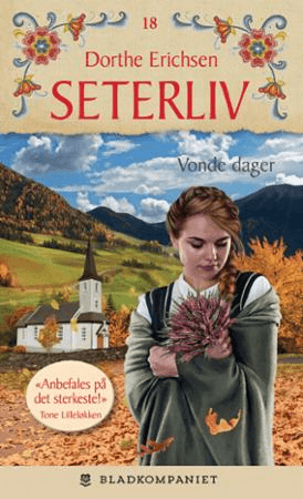 Vonde dager av Dorthe Erichsen