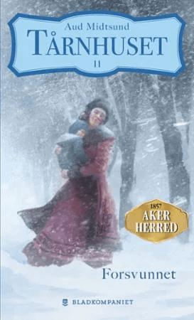 Forsvunnet av Aud Midtsund