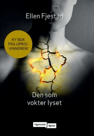 Den som vokter lyset av Ellen Fjestad