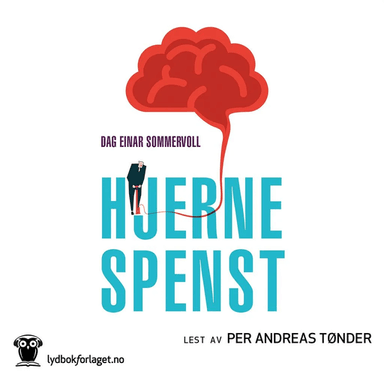 Hjernespenst av Dag Einar Sommervoll