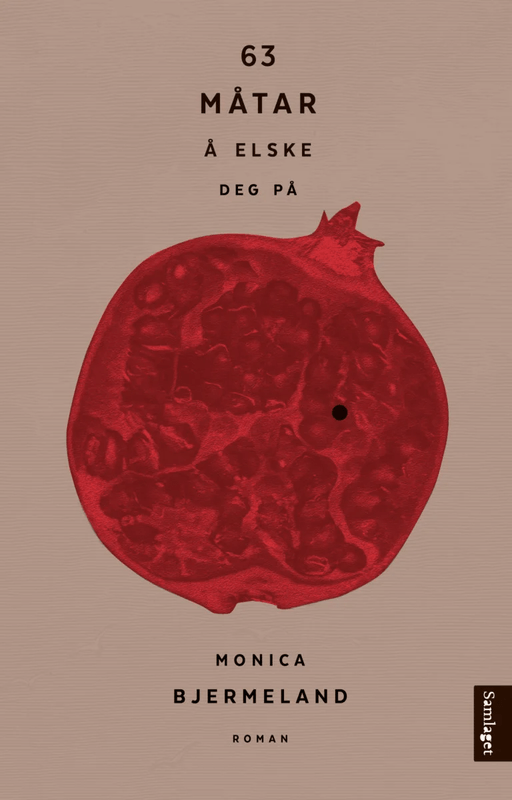 63 måtar å elske deg på av Monica Bjermeland