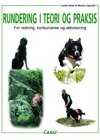 Rundering i teori og praksis av Morten Egtvedt, Cecilie Køste